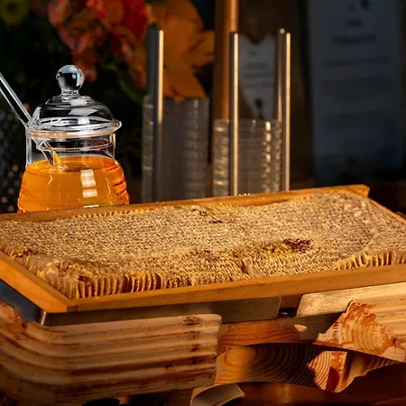 阿尔朋多夫酒店 4*