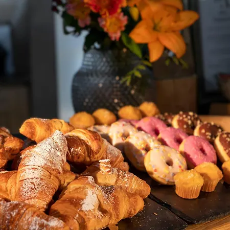 酒店 阿尔朋多夫酒店