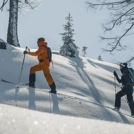 Hotel Aktivhotel Alpendorf 4*