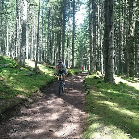 Aktivhotel Alpendorf