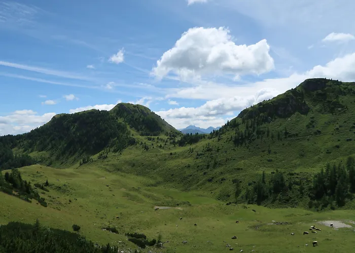 Aktivhotel Alpendorf ザンクト・ヨーハン・イム・ポンガウ